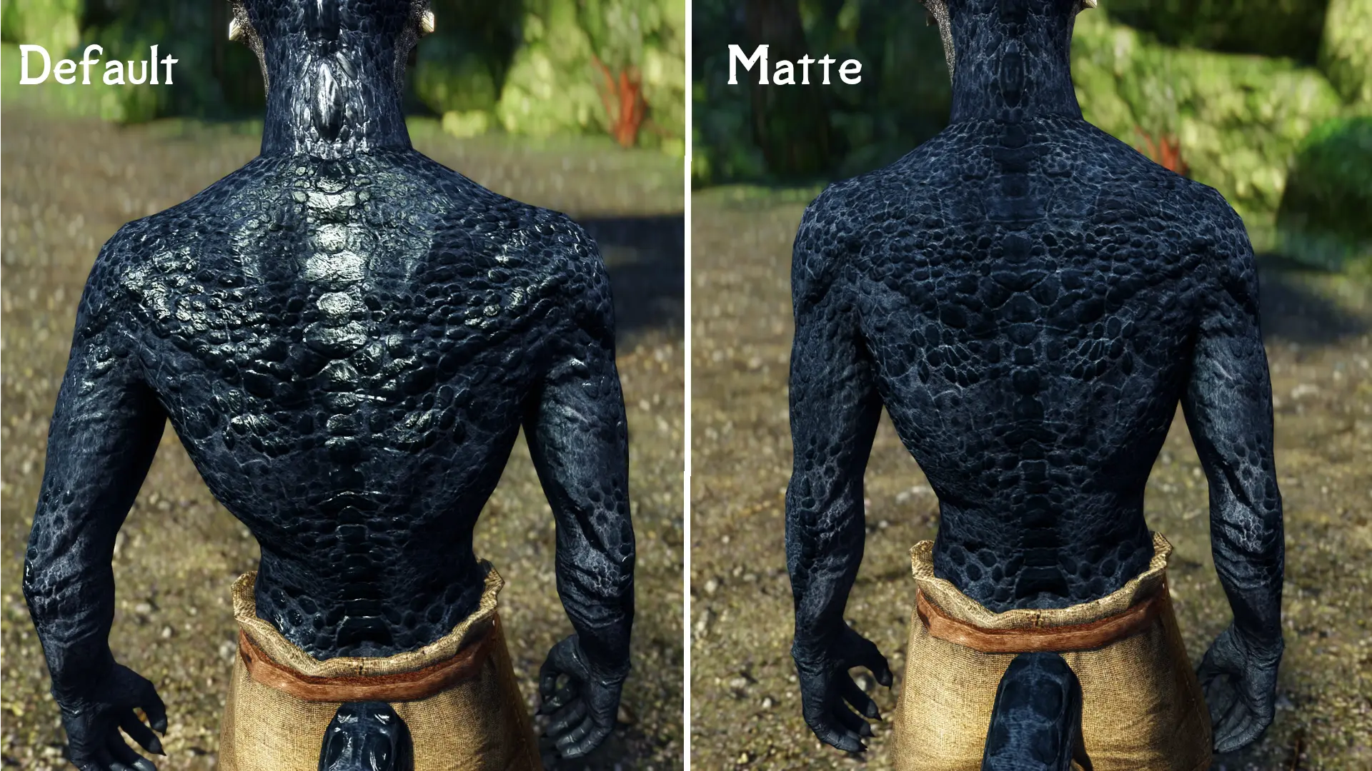 Skyrim Argonian Texture Mods jadid khareji