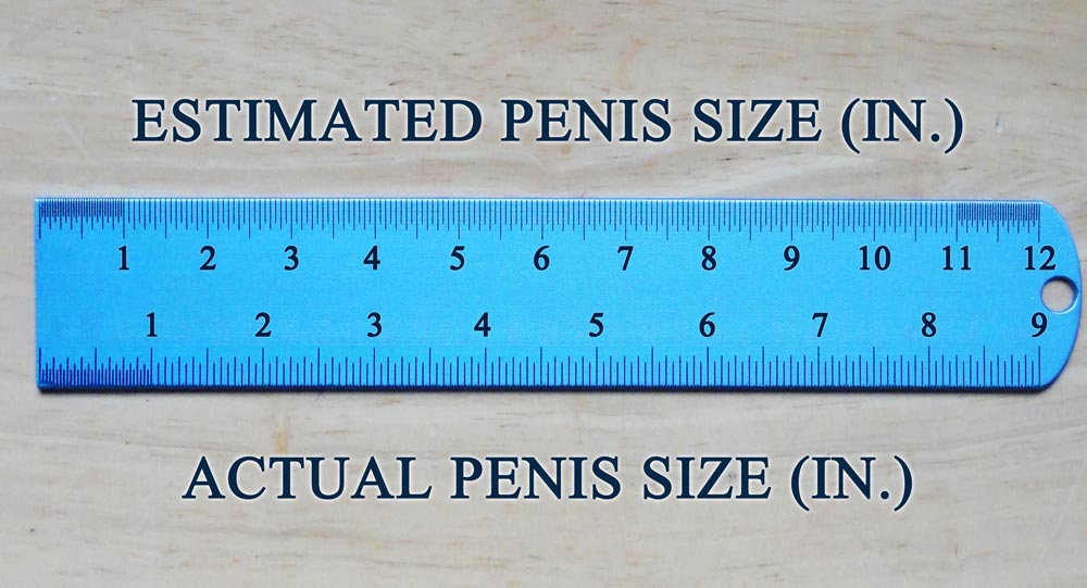 anna palazzi recommends 5 Inch Girth Example