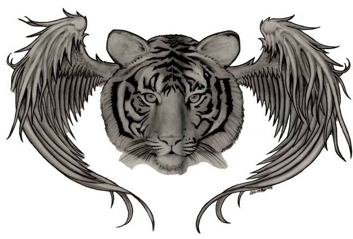 alyan shah add tiger with wings tattoo photo