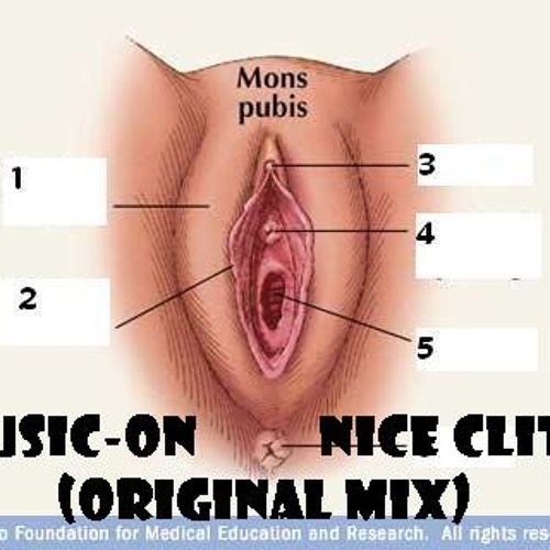 chura mo recommends nice clit pics pic