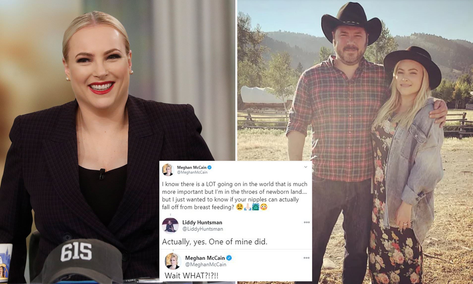 abigail koranteng recommends meghan mccain huge boobs pic