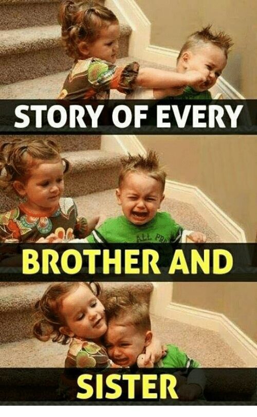 dale nordquist add big brother little sister memes photo