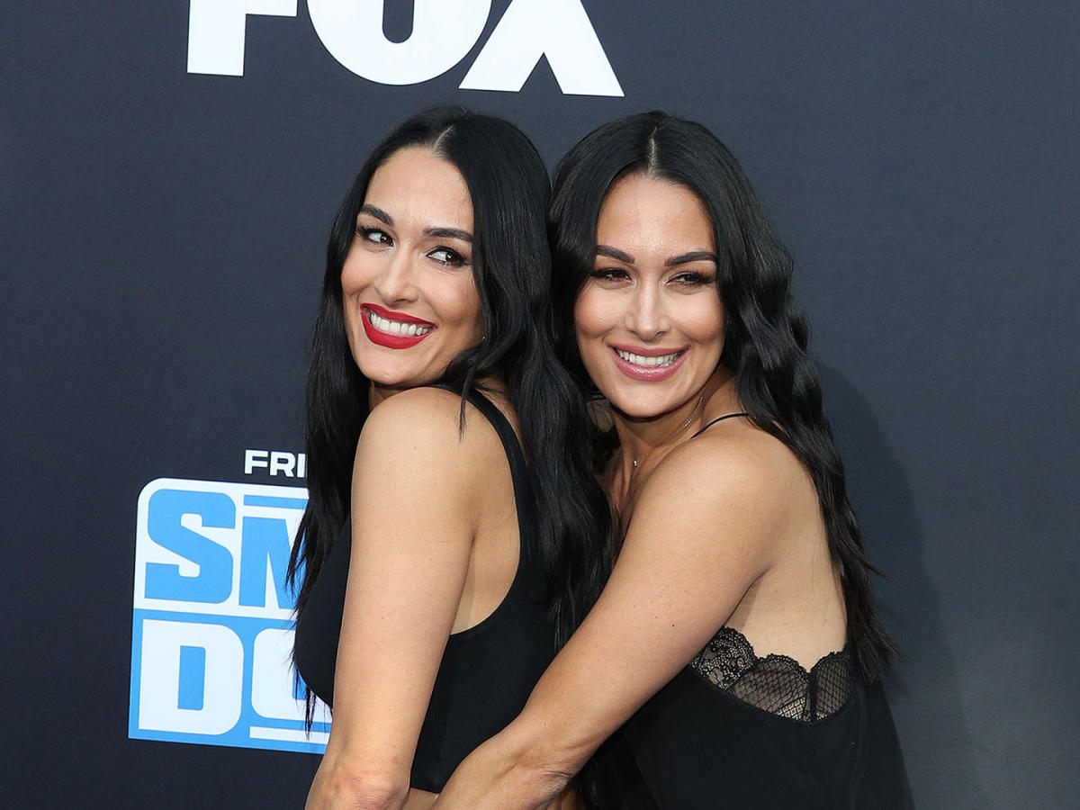 Brie And Nikki Bella Nude may cry