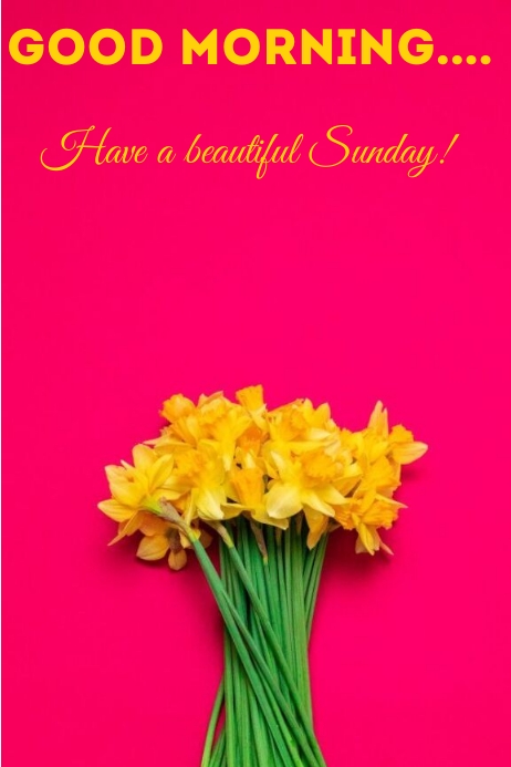alanza ambisius recommends have a beautiful sunday pictures pic