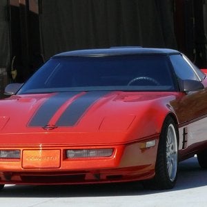 adam lueders share corvette babe of the day photos