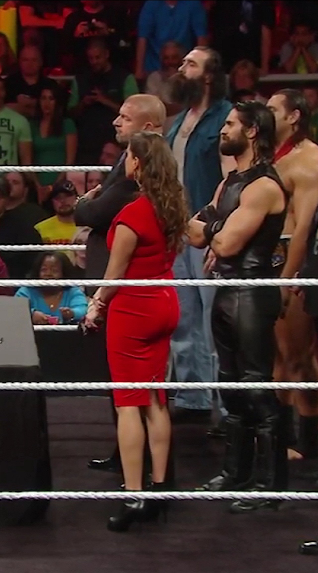 carla van schalkwyk recommends stephanie mcmahon big ass pic