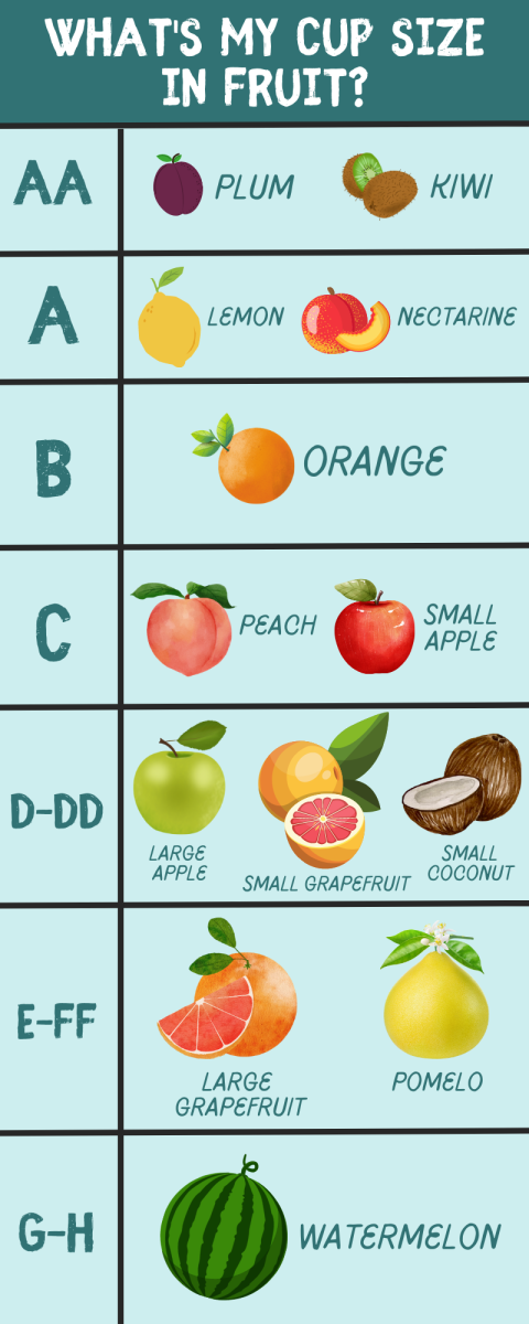 dana curtis recommends cup sizes with pictures pic