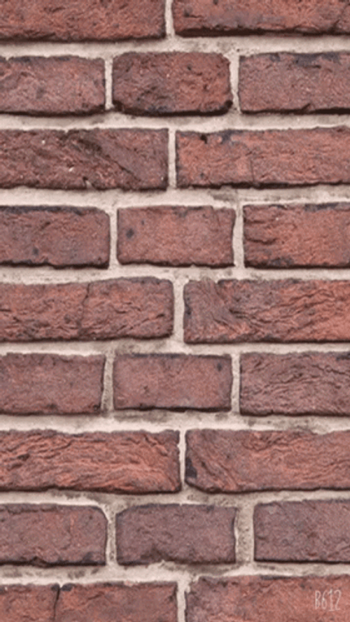 running into a brick wall gif