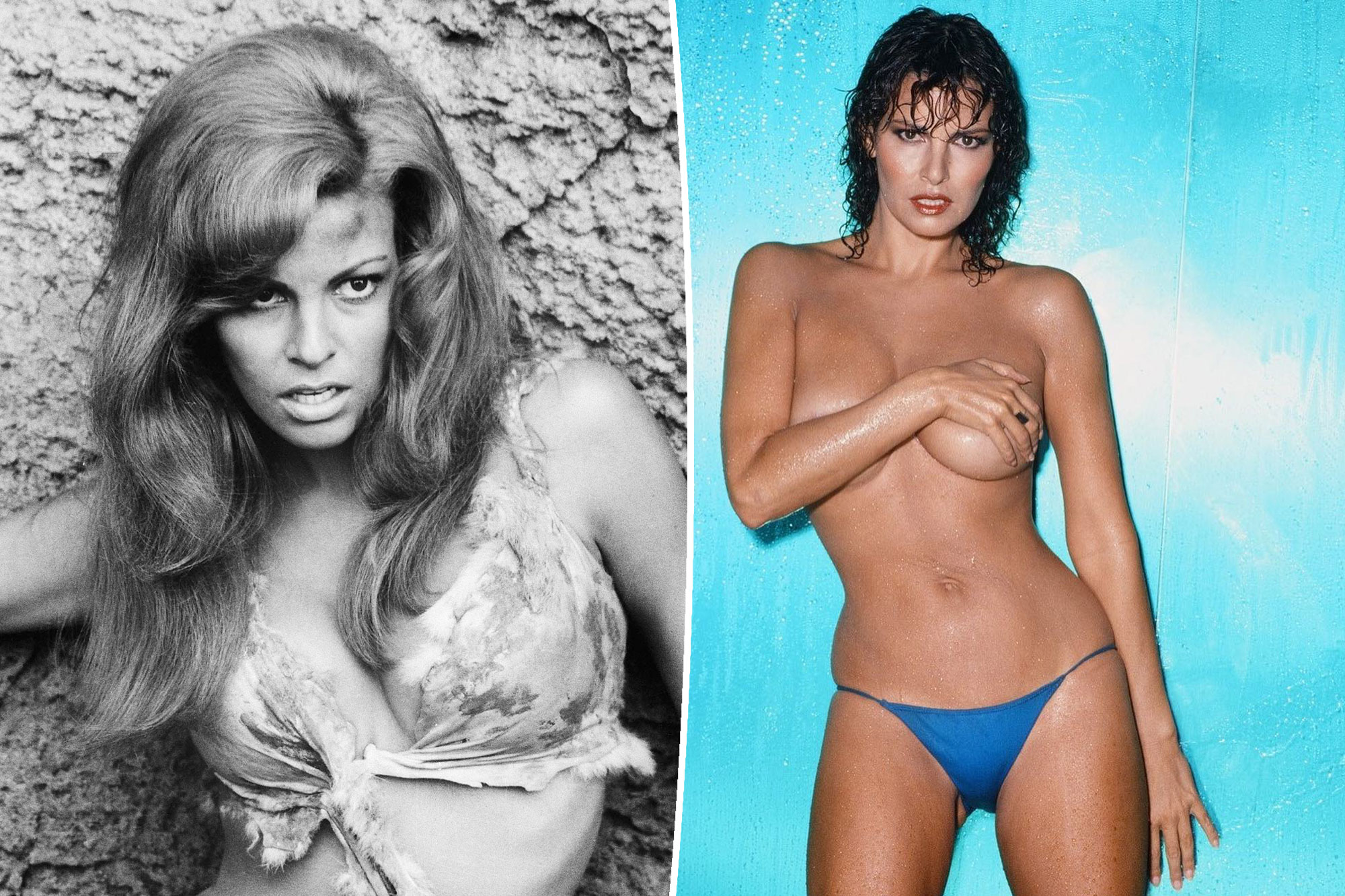 andrea hollister recommends raquel welch porn pics pic