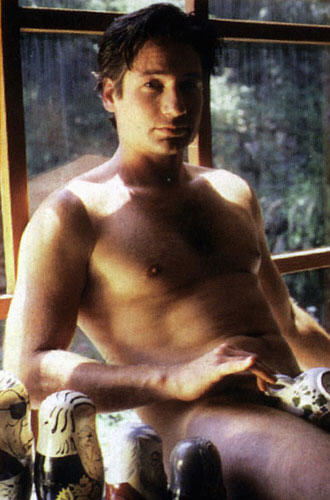 bryant dowd recommends David Duchovny Nude