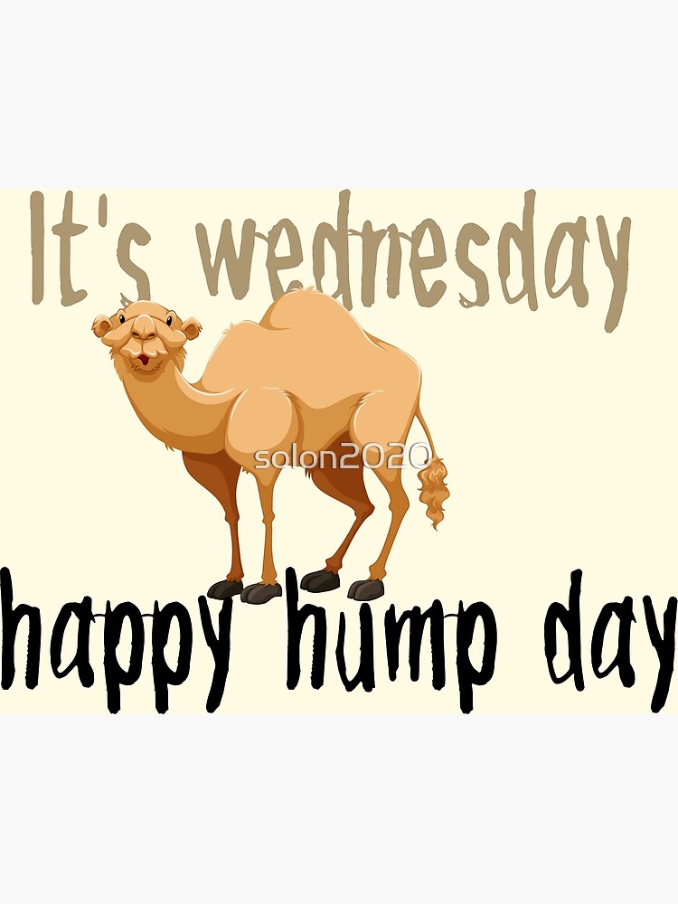 annette solomon recommends hump day pics pic