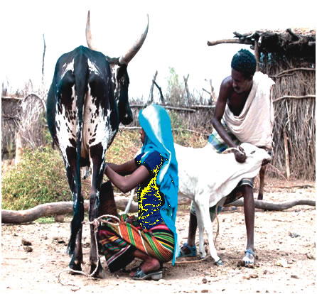 chasen round recommends Woman Being Milked