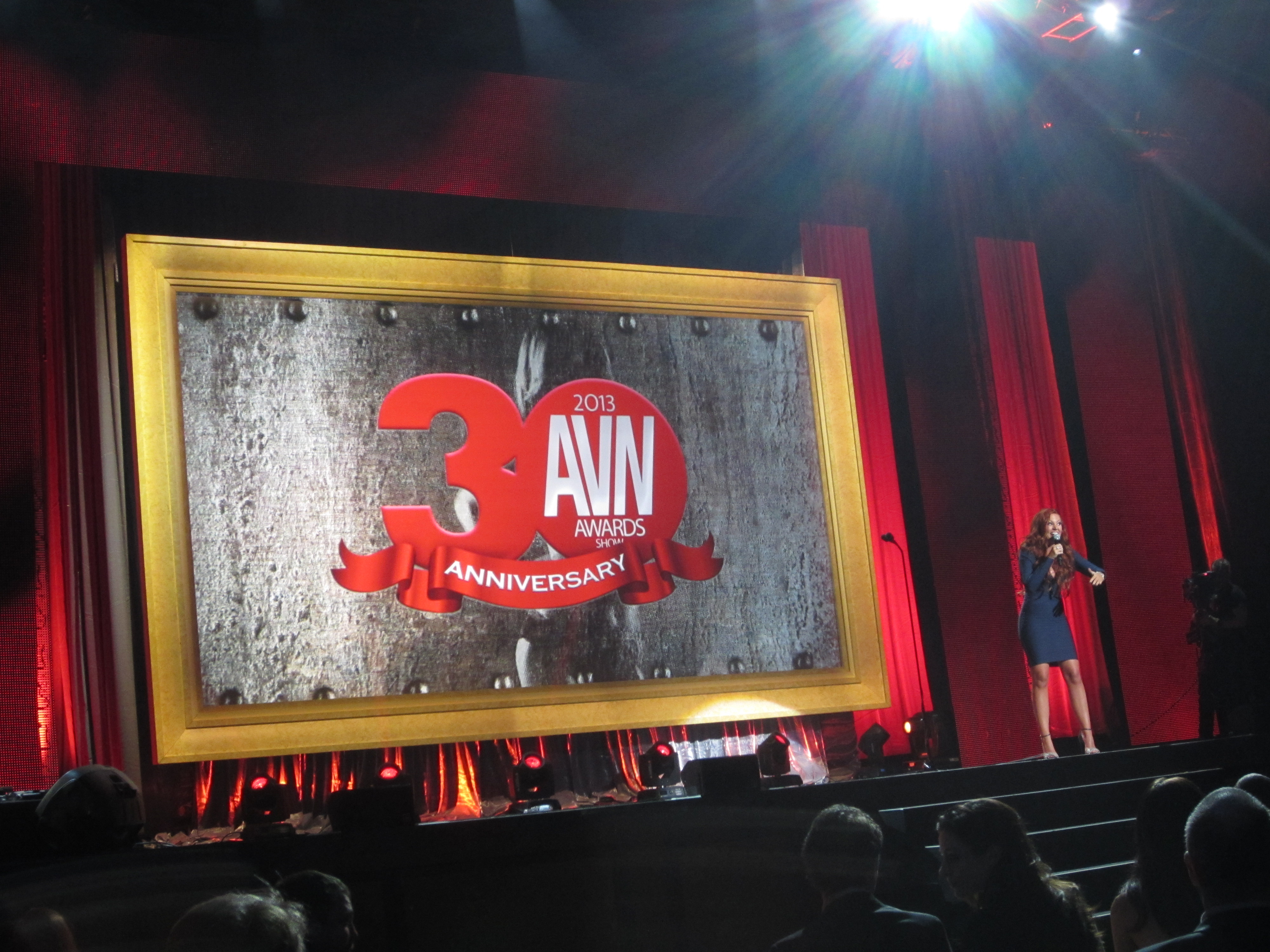 asma irfan recommends 2013 avn award winners pic