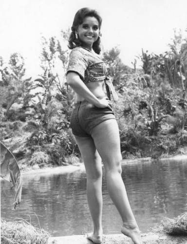 derrick etheridge recommends dawn wells sexy pictures pic