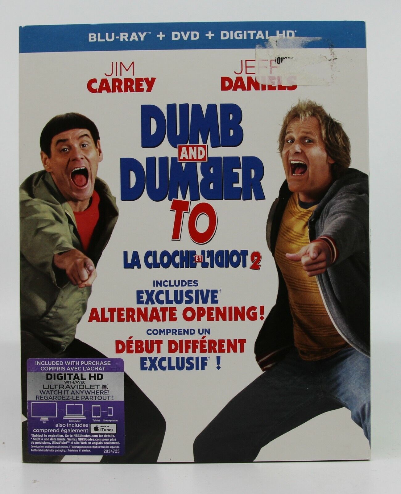 dumb and dumber download