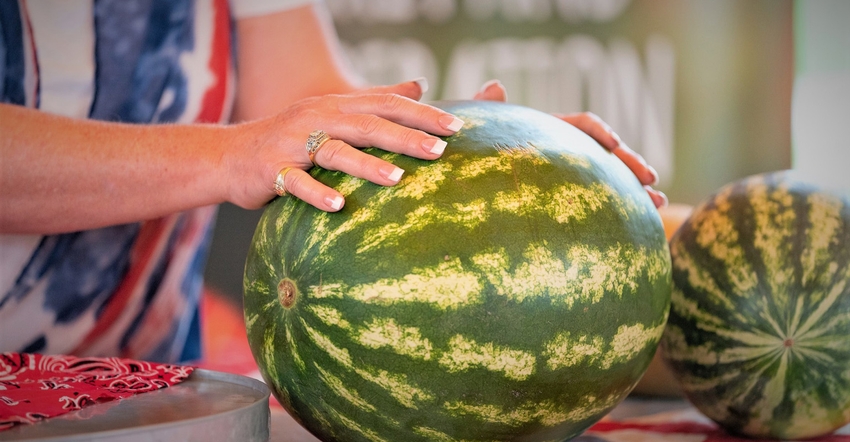 carol vanbuskirk add young ripe melons 4 photo