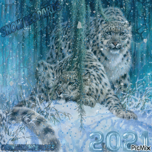 dallas pratt add snow leopard gif photo