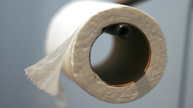 brittany hornbeck recommends toilet paper girth test pic