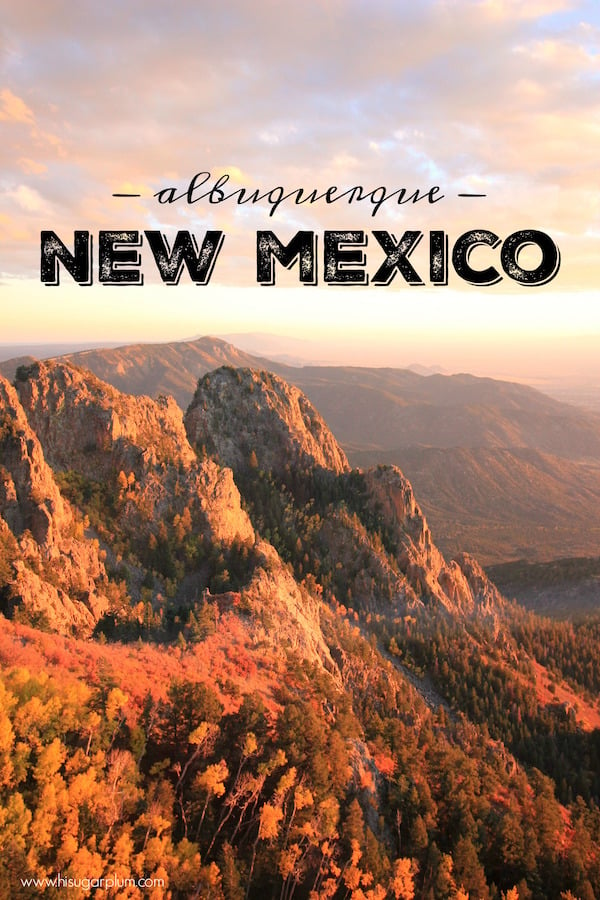 darlene knight recommends backpage com albuquerque new mexico pic