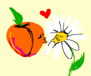 anne marie kunz add peach and daisy kiss photo