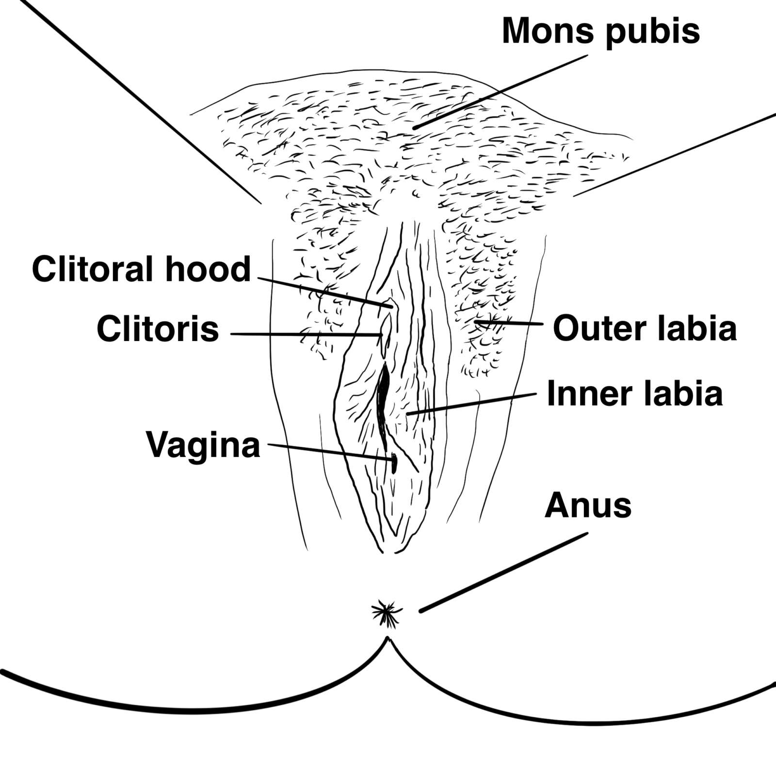 asim qari recommends like to eat pussy pic