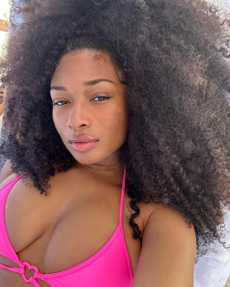 donna kenison recommends megan thee stallion nipslip pic