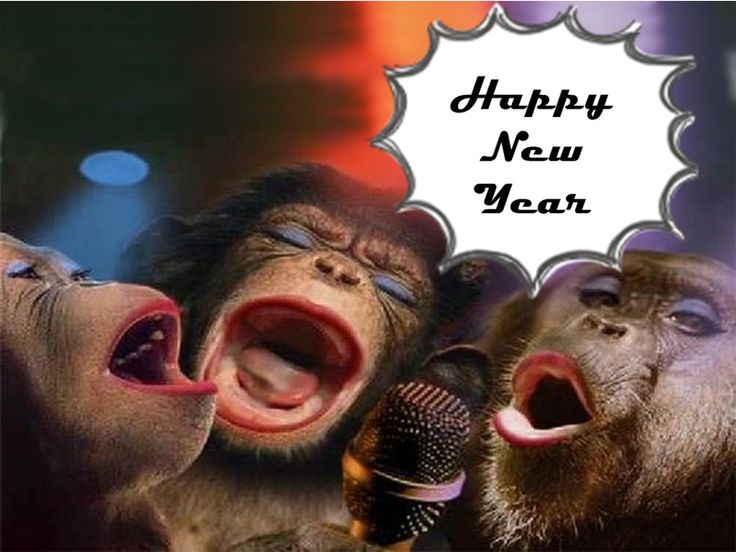 carrie leavitt share funny happy new year 2017 memes photos