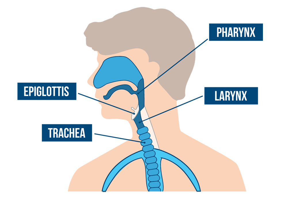 chad levitt share how to deep throat like a pro photos