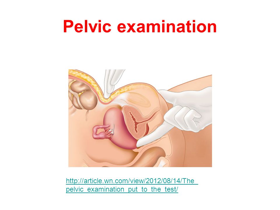 andee alvarez recommends Video Of Pelvic Examination