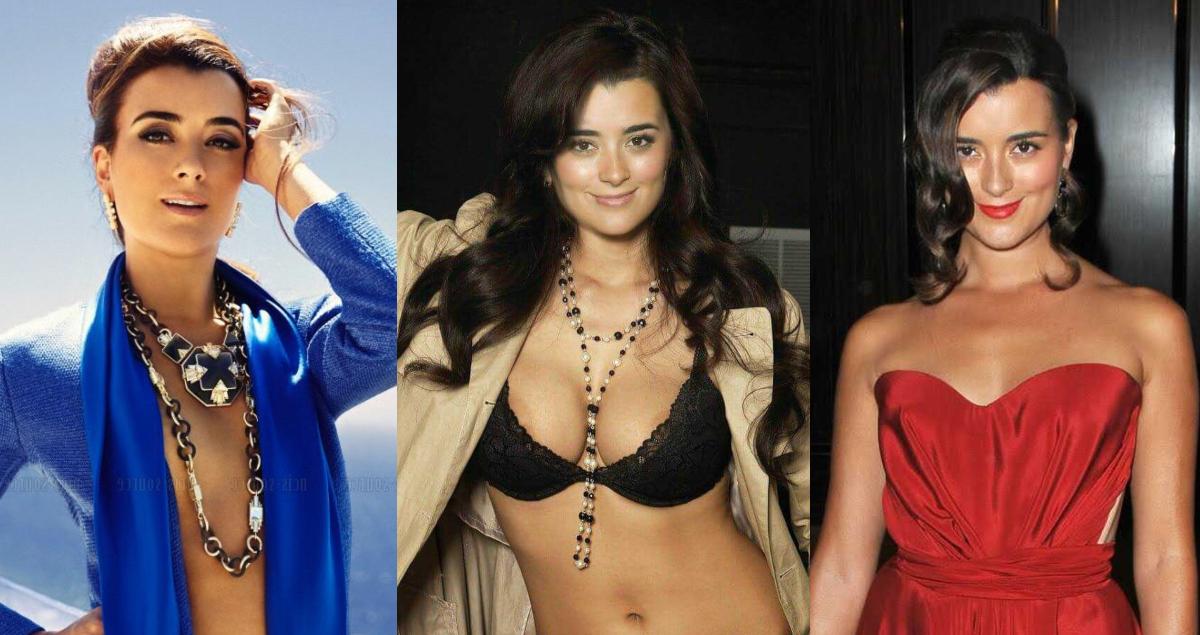 dan tinker add cote de pablo boobs photo