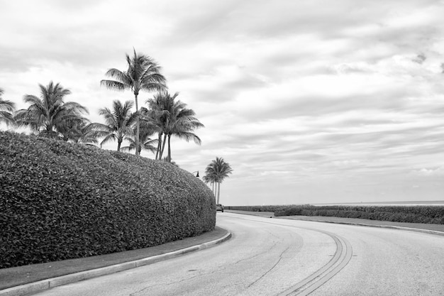 brett penn recommends beach bush tumblr pic