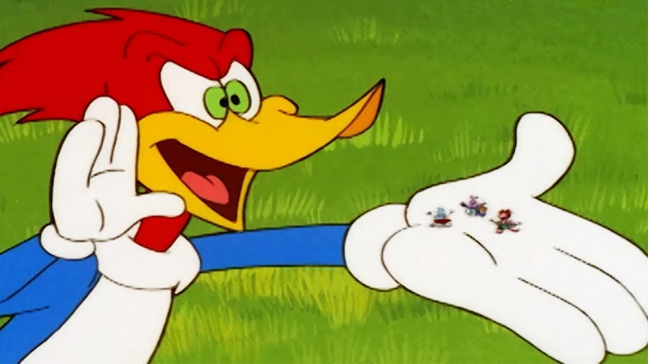 Woody Woodpecker Cartoon Videos radar live