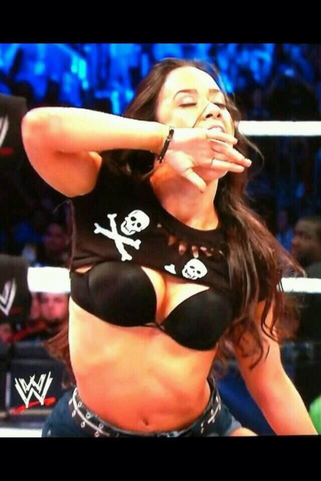 wwe diva wardrobe malfunctions pics