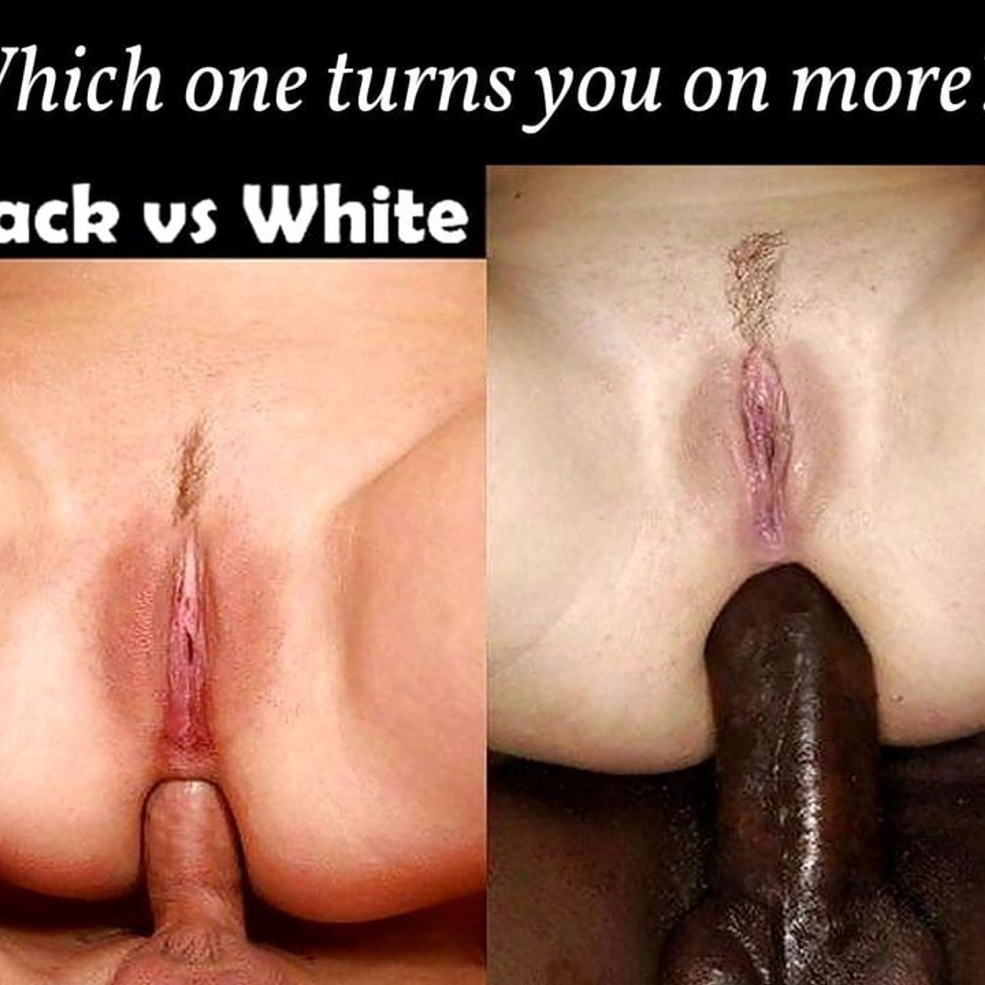 danu dan add photo black cock vs white pussy