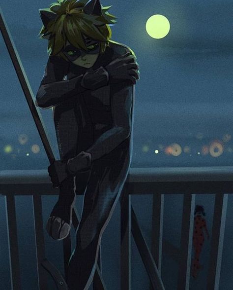 hot pics of cat noir