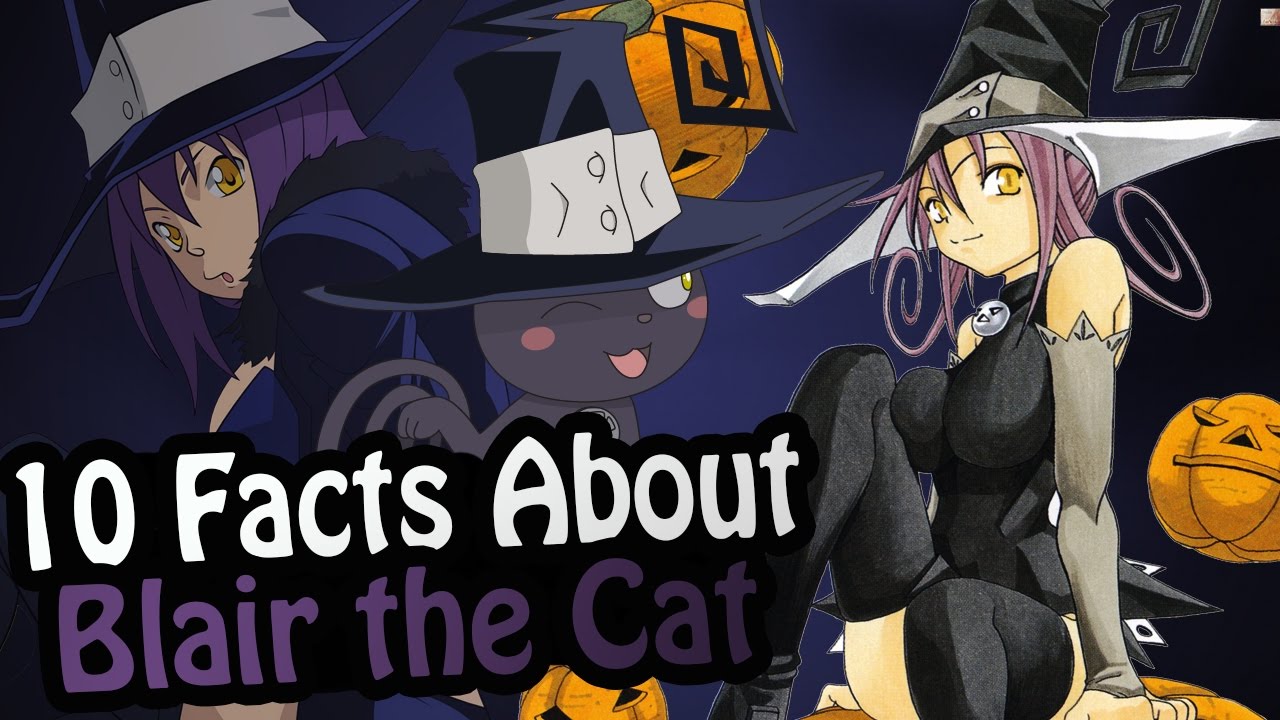 soul eater cat