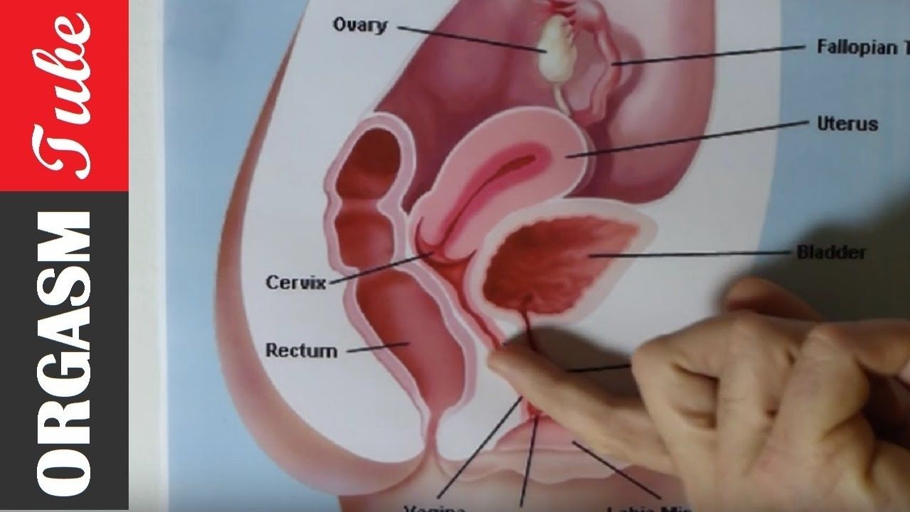 g spot orgasm demonstration