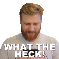 Best of What the heck gif