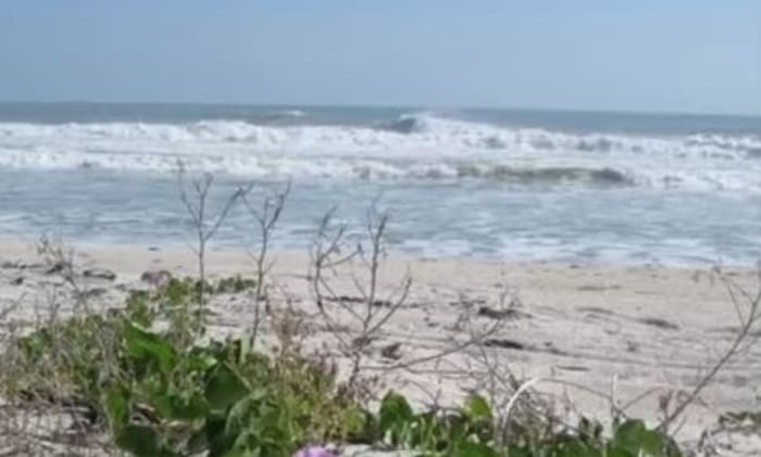 nude beach jacksonville florida