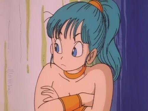 Best of Dragon ball super bulma tits