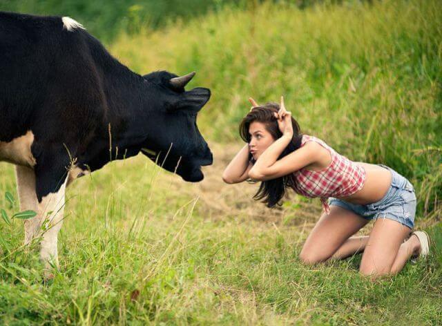 ashley barnard share girl has sex with cow photos