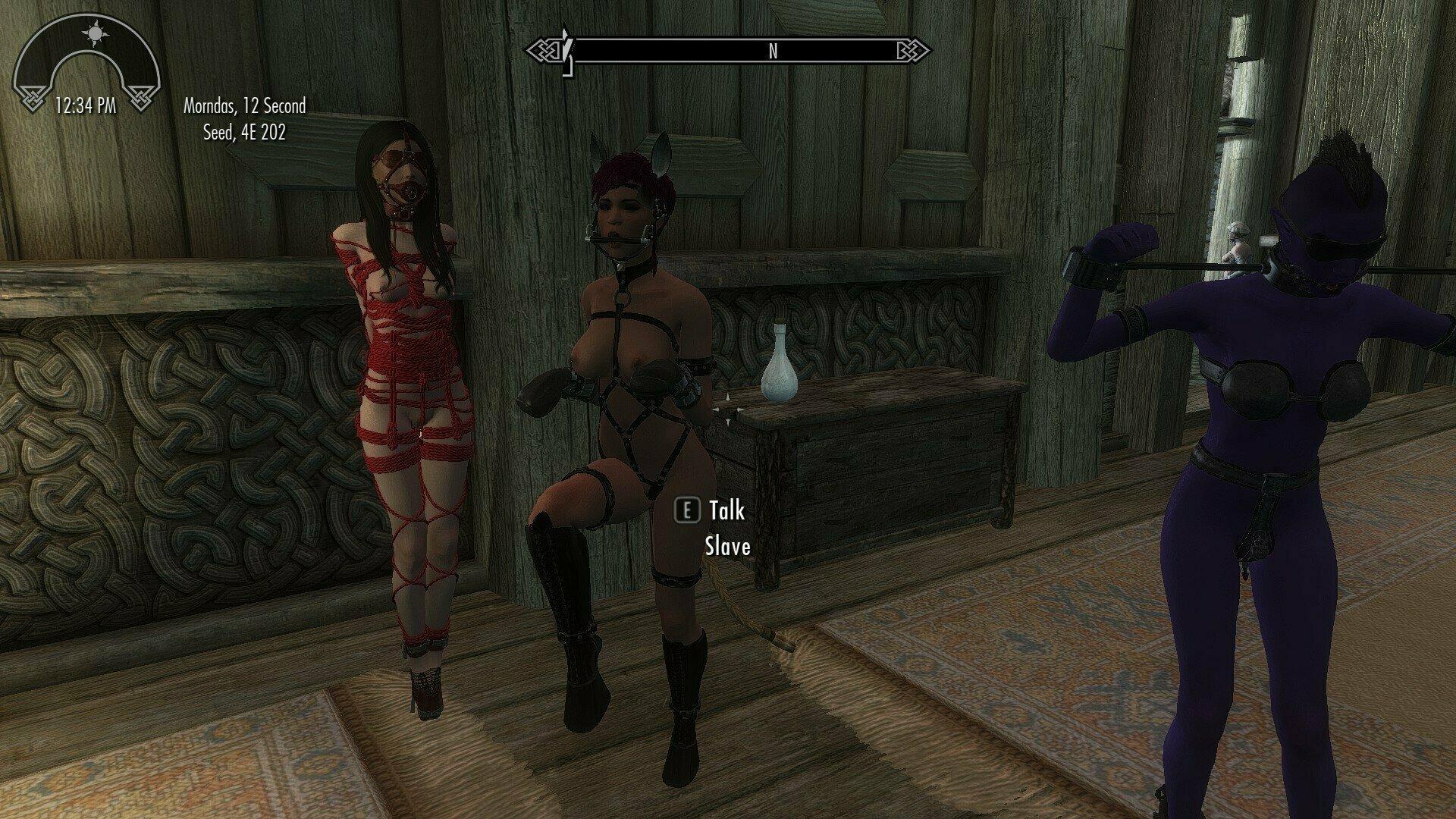 deirdra aliperti recommends Animated Prostitution Nexus Skyrim