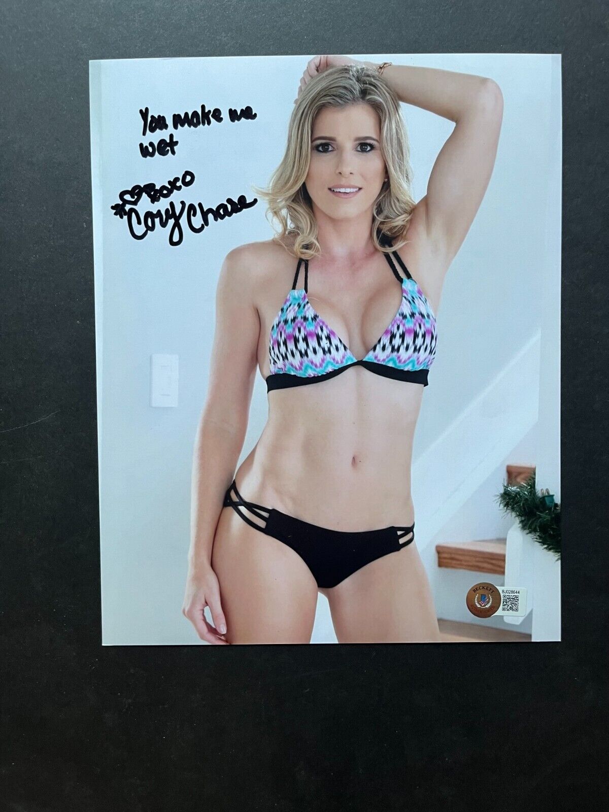 aaron bednar recommends Pornstar Cory Chase