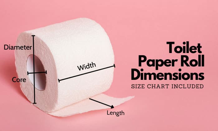 courtney fullmer recommends toilet paper girth test pic