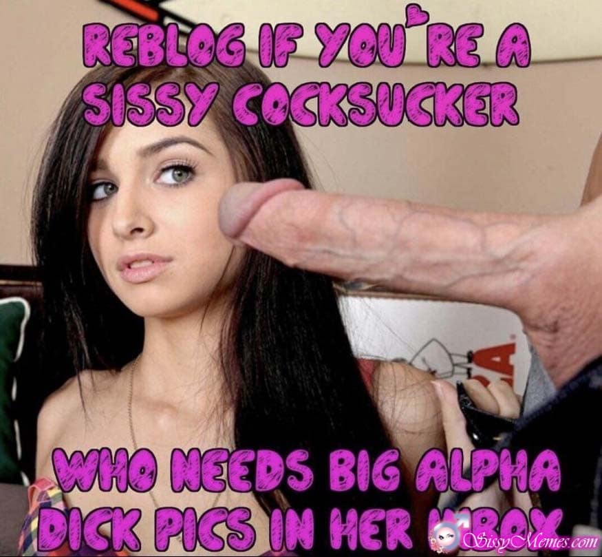aramina reyes share big cock sissy captions photos