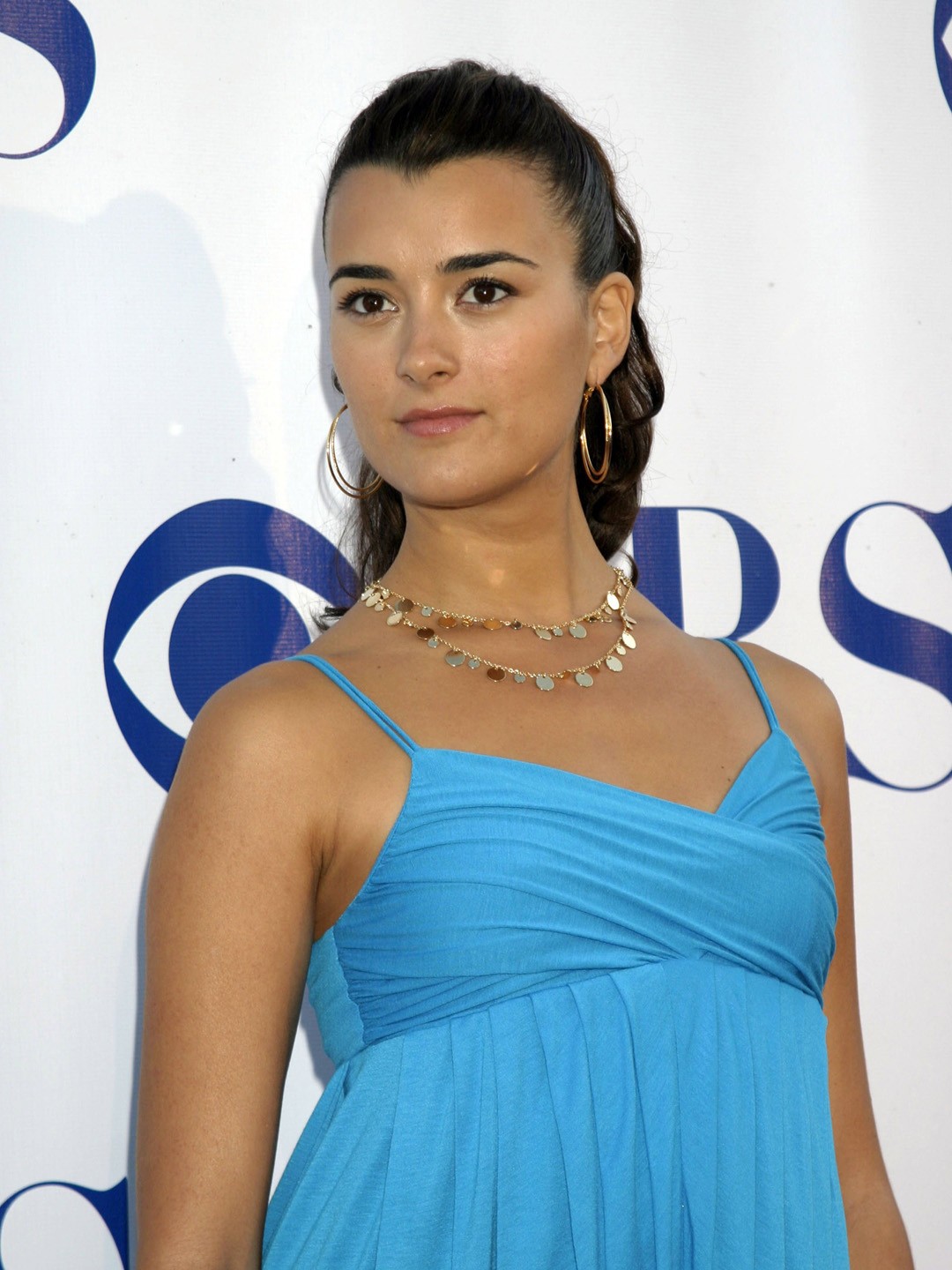 bernice pieters recommends cote de pablo sex pic