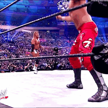 ben harlan recommends shawn michaels blowjob gif pic
