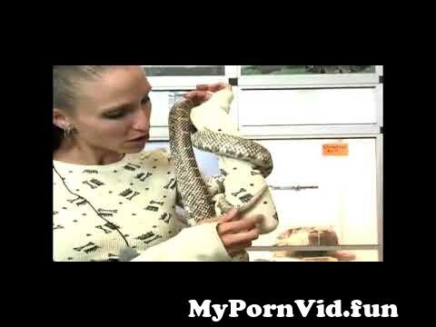 alison dorsey add woman fucked by snake photo