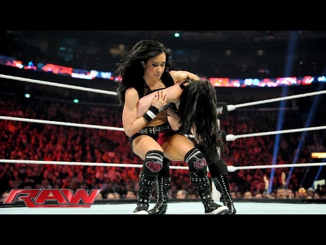 aj lee and paige nude