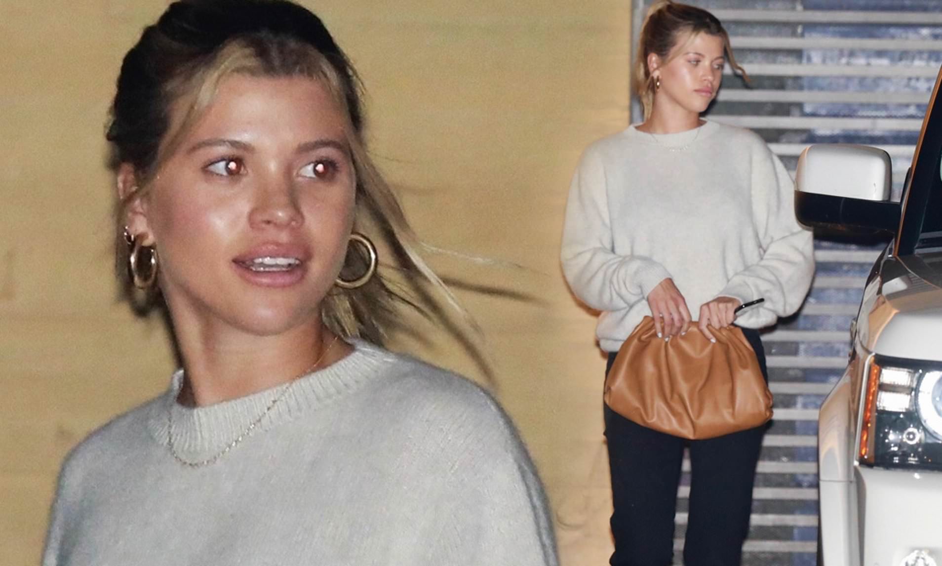 benjamin mcneilley recommends Sofia Richie Nude Pics